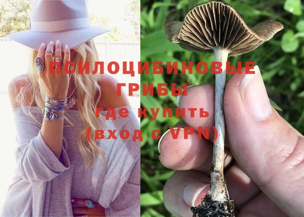 крисы Алексеевка