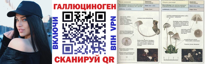 Псилоцибиновые грибы MAGIC MUSHROOMS  Балашиха 